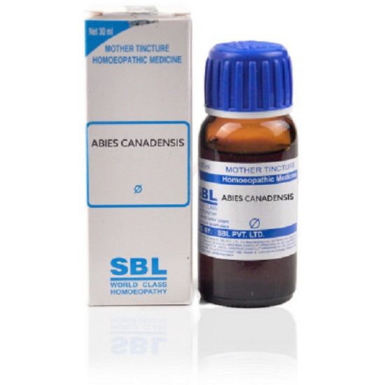 SBL Abies Canadensis Mother Tincture 1X (Q) (30ml)