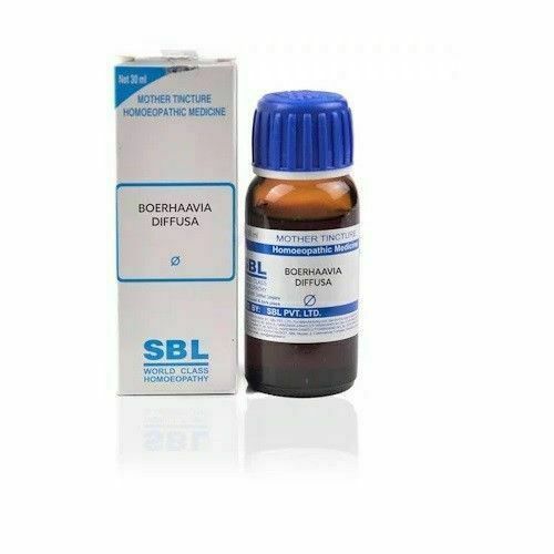 SBL Boerhaavia Diffusa Mother Tincture 1X (Q) (30ml)