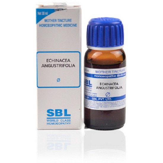 SBL Echinacea Angustifolia Mother Tincture 1X (Q) (30ml)