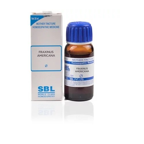 SBL Fraxinus Americana Mother Tincture 1X (Q) (30ml)