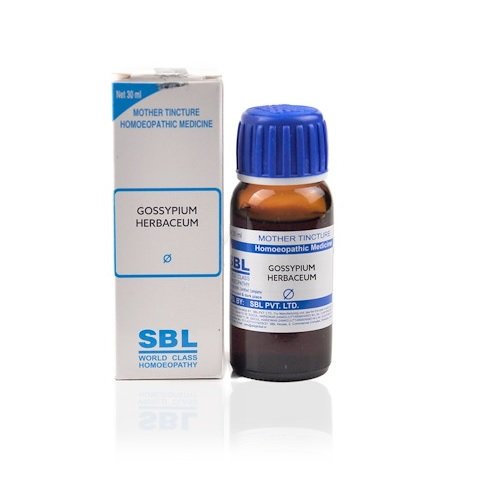 SBL Gossypium Herbaceum Mother Tincture 1X (Q) 30ml