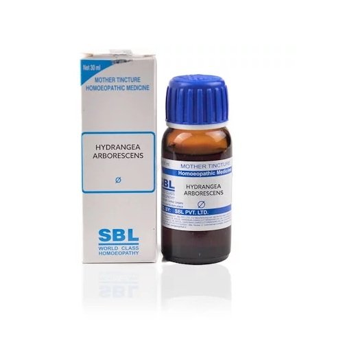 SBL Hydrangea Arborescens Mother Tincture 1X (Q) (30ml)