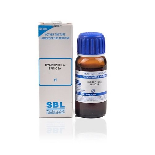 SBL Hygrophila Spinosa Mother Tincture 1X (Q) (30ml)