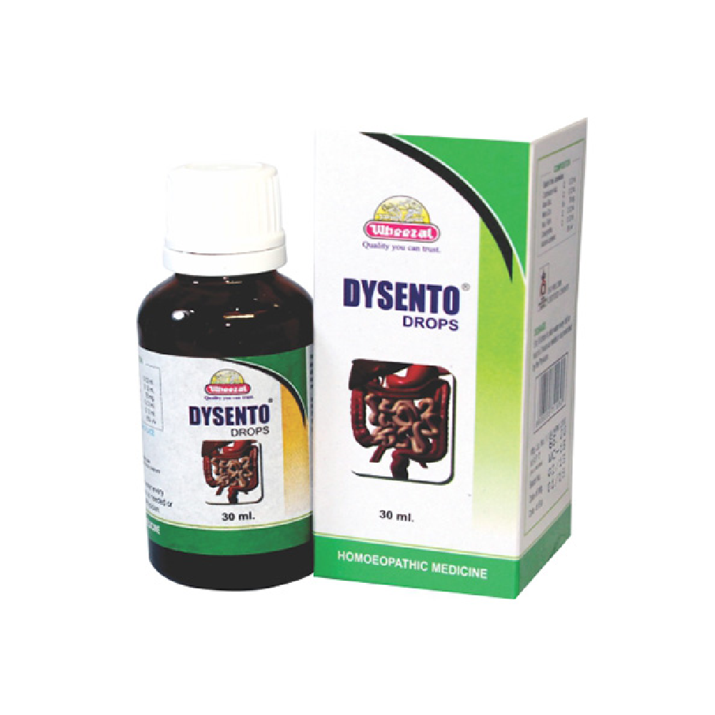 Wheezal Dysento Drop (30 ML)