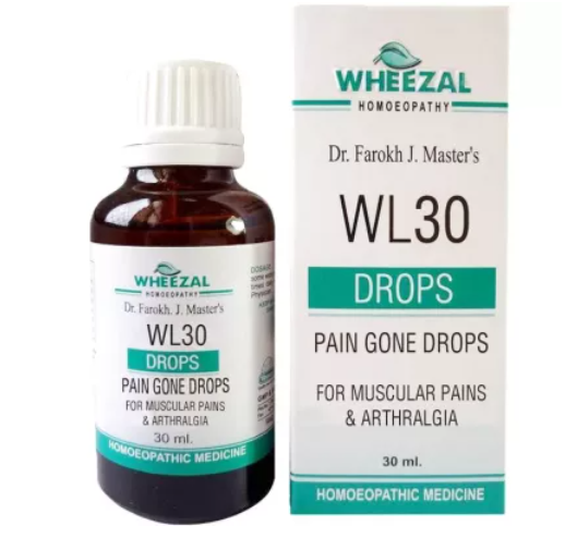 Wheezal Homeopathic WL30 Pain Gone Drop (30ml)