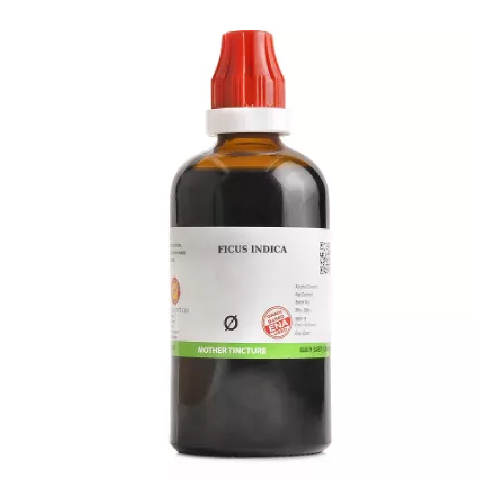 BJain Ficus Indica 1X (Q) Mother Tincture (100ml) For Piles, Bleeding Gums