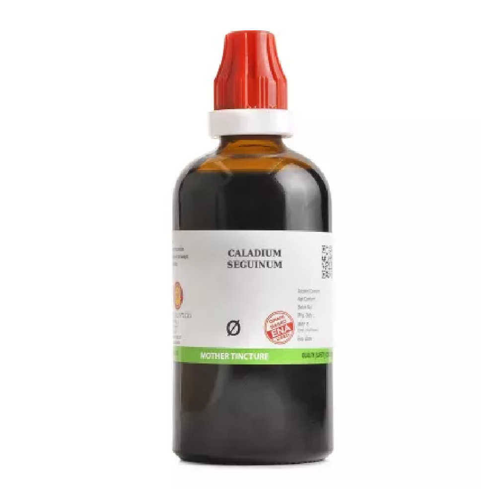 BJain Caladium Seguinum 1X (Q) Mother Tincture (100ml) For Itching, Depression