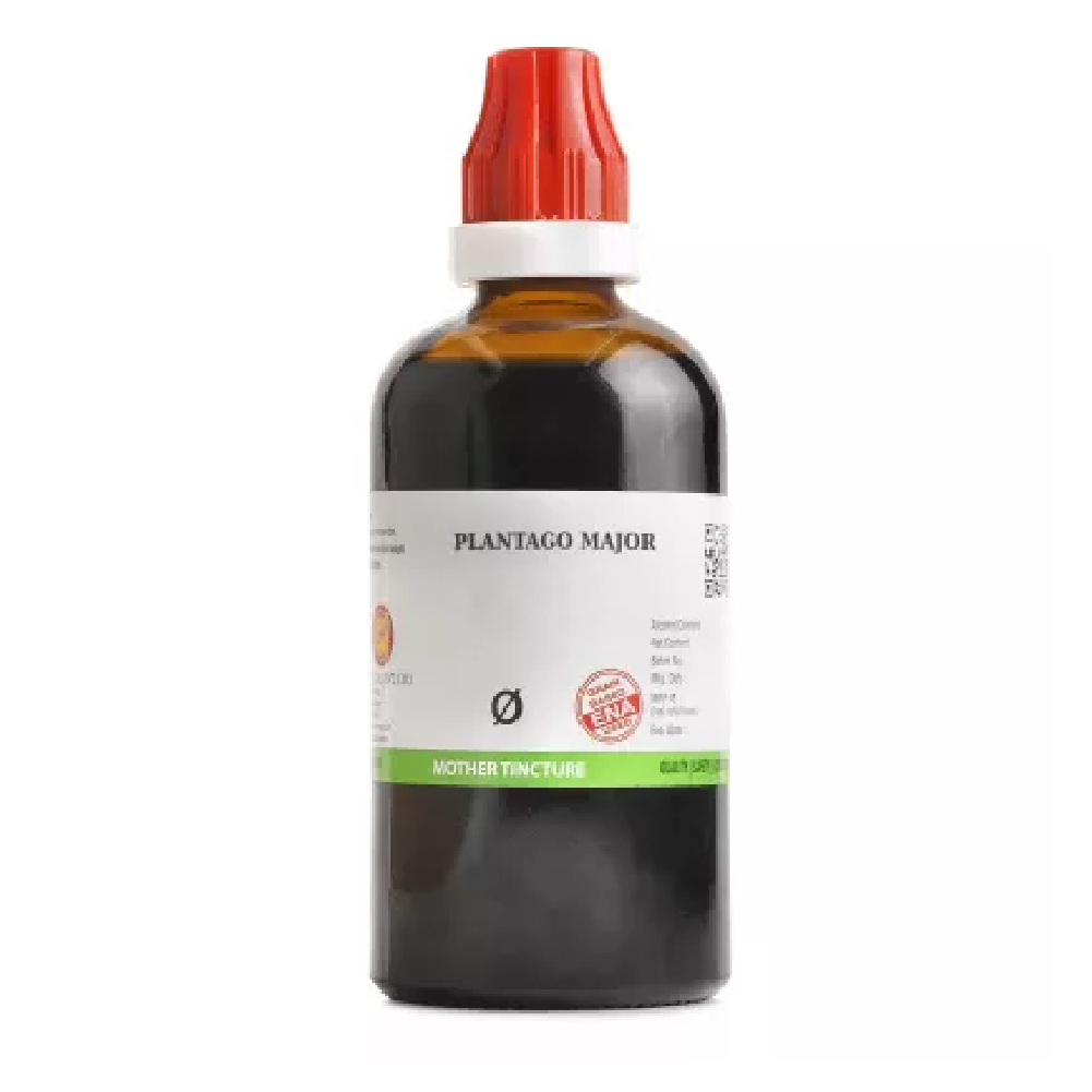 BJain Plantago Major 1X (Q) Mother Tincture (100ml) For Bleeding Gum, Infection