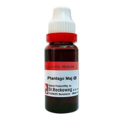 Dr Reckeweg Plantago Major Mother Tincture(Q) 20ml for digestion diarrhoea scars cough asthma